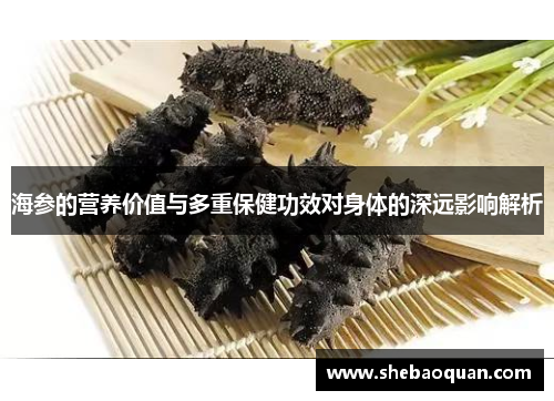 海参的营养价值与多重保健功效对身体的深远影响解析 海参的营养价值与多重保健功效对身体的深远影响解析