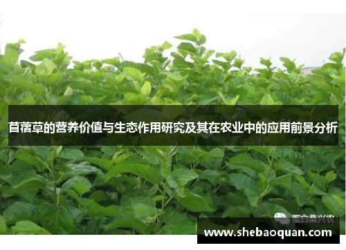 苜蓿草的营养价值与生态作用研究及其在农业中的应用前景分析 苜蓿草的营养价值与生态作用研究及其在农业中的应用前景分析