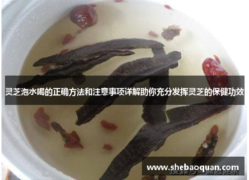 灵芝泡水喝的正确方法和注意事项详解助你充分发挥灵芝的保健功效 灵芝泡水喝的正确方法和注意事项详解助你充分发挥灵芝的保健功效